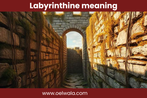 Labyrinthine meaning